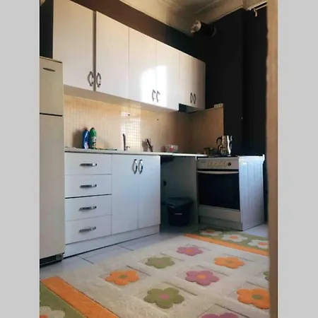 Cactus Home דירה *